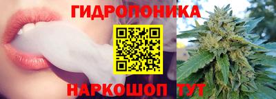 крисы Краснокаменск