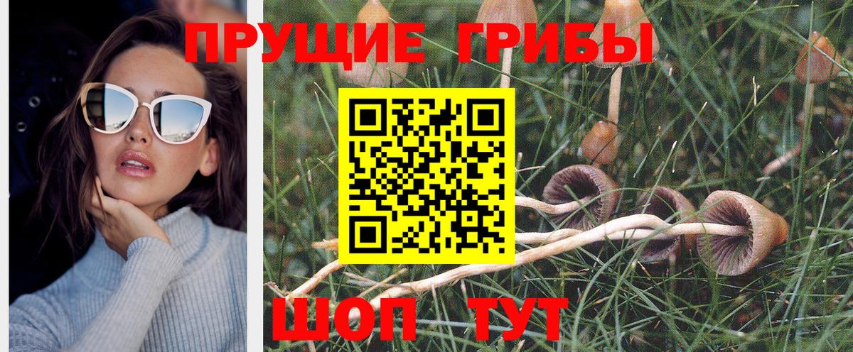Псилоцибиновые грибы мицелий Химки