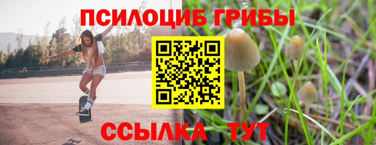 Псилоцибиновые грибы Psilocybe  Вход с VPN  Химки 